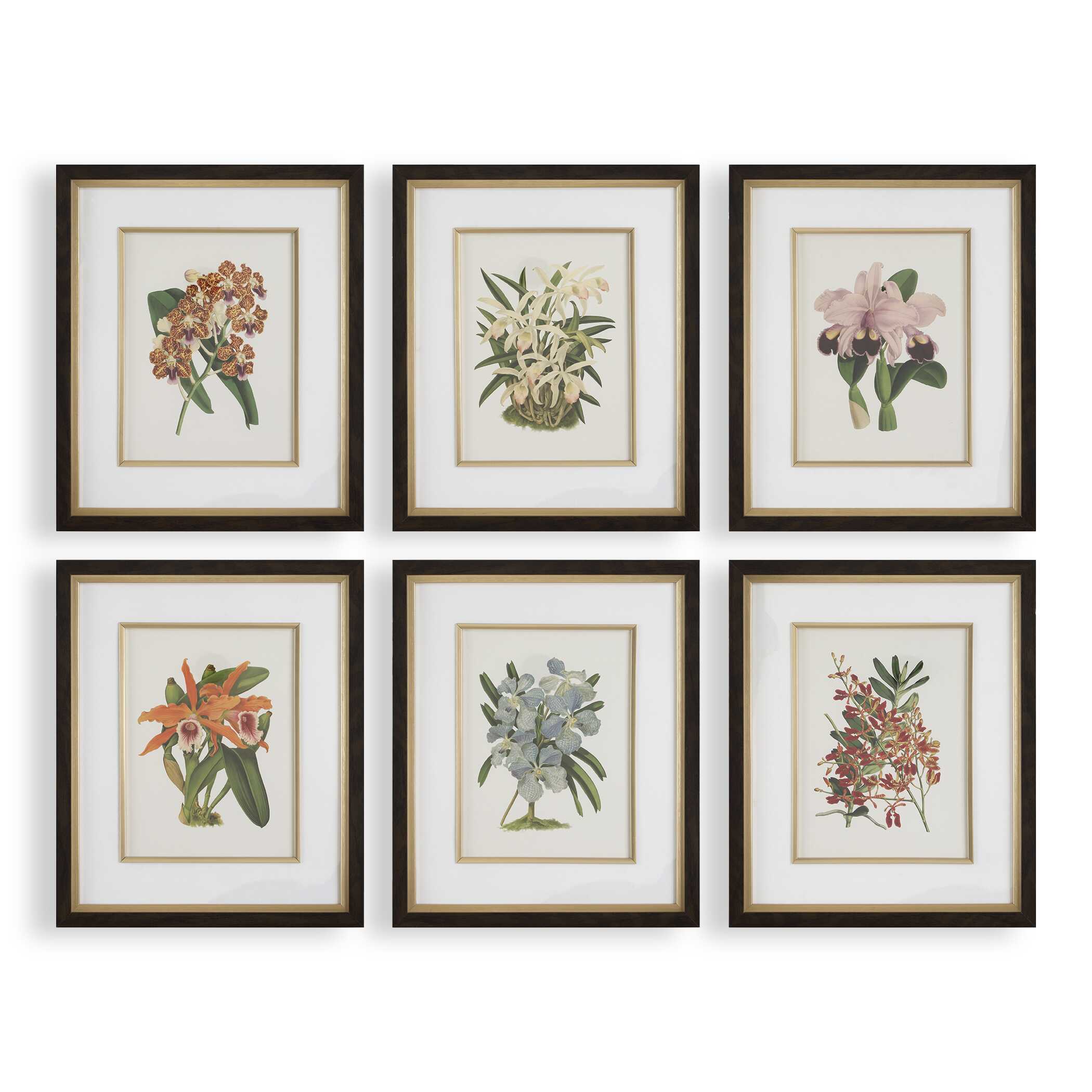 UTTERMOST社製 Orchid絵画・印刷6個組 UTT-32447 - マストレ海外事業部