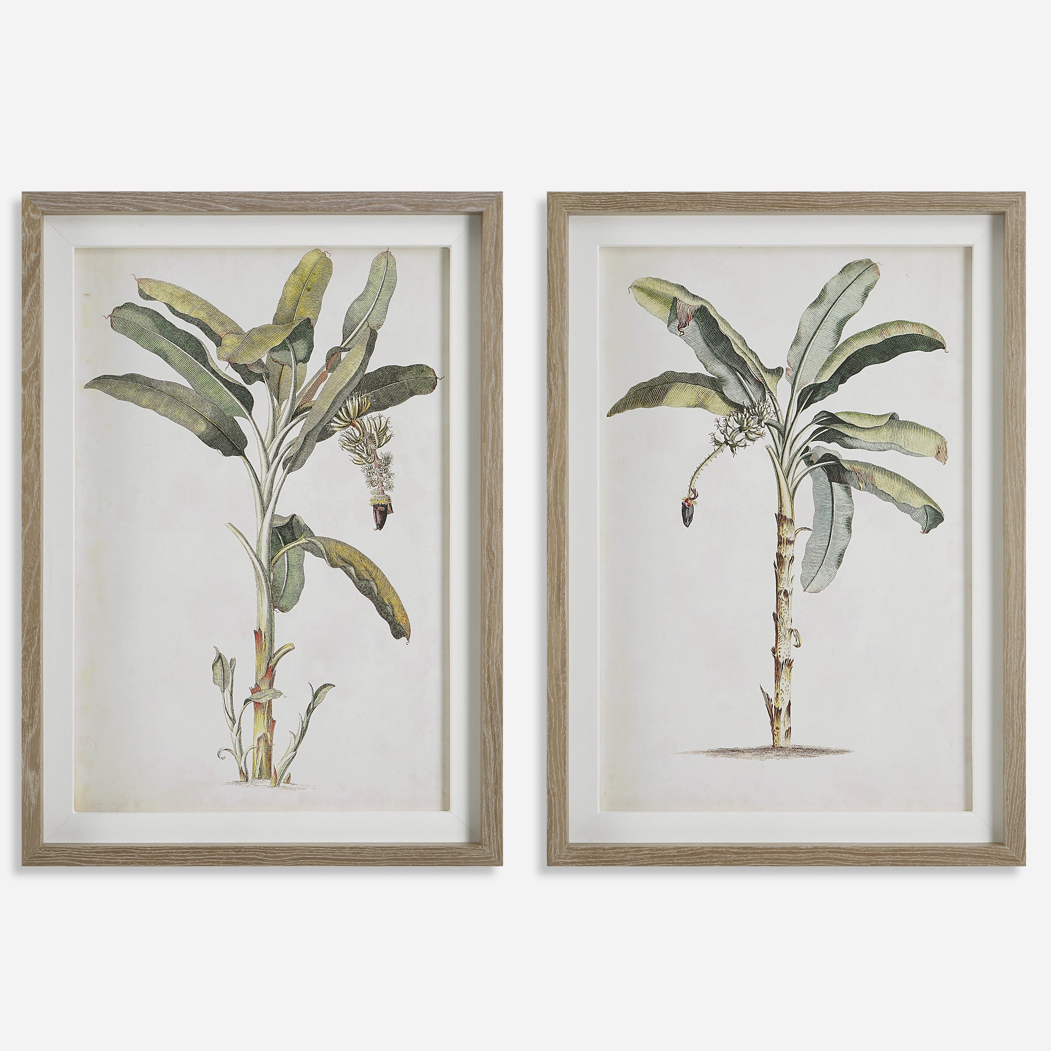 UTTERMOST社製 Banana Palm絵画・印刷2個組