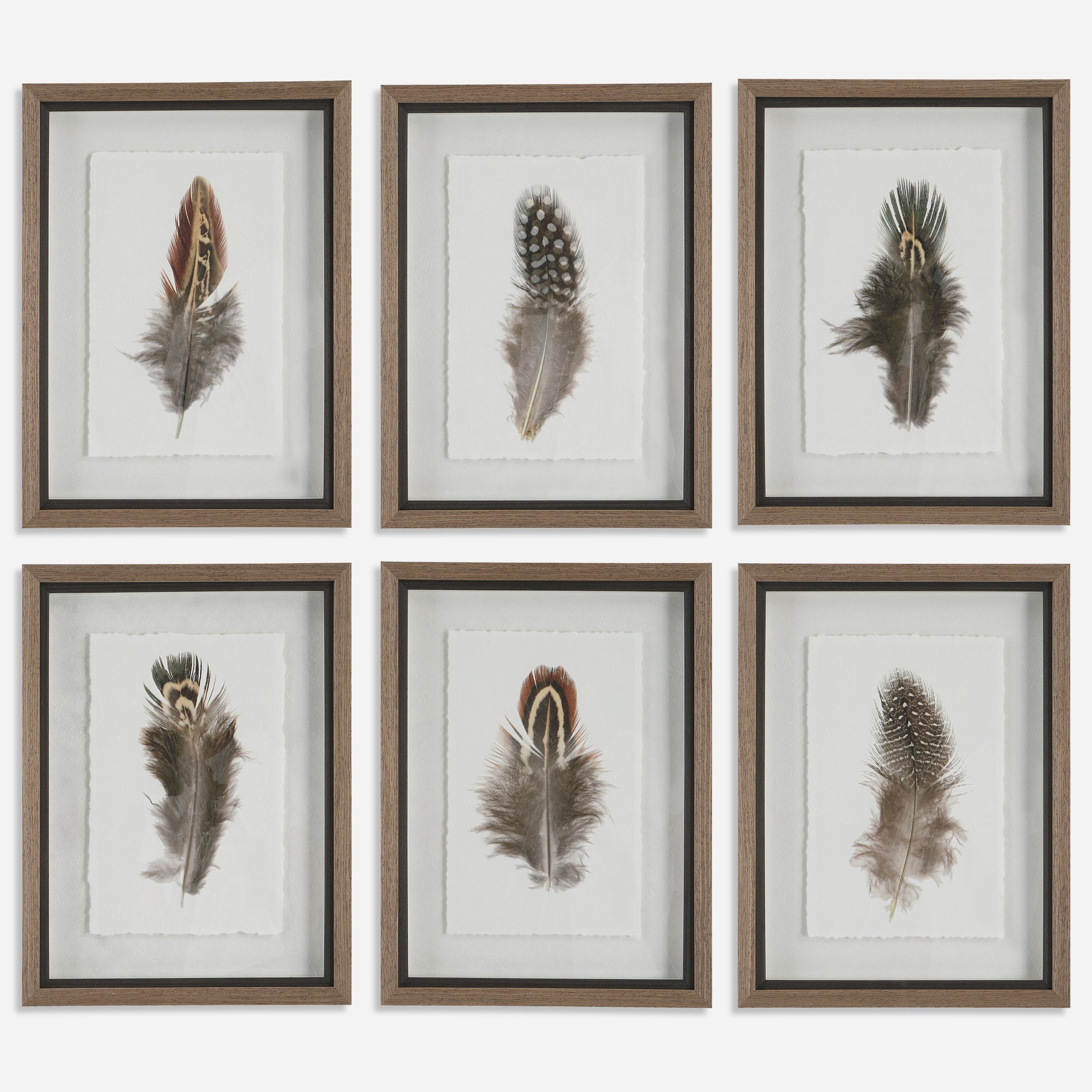 UTTERMOST社製 Birds Of A Feather絵画・印刷6個組