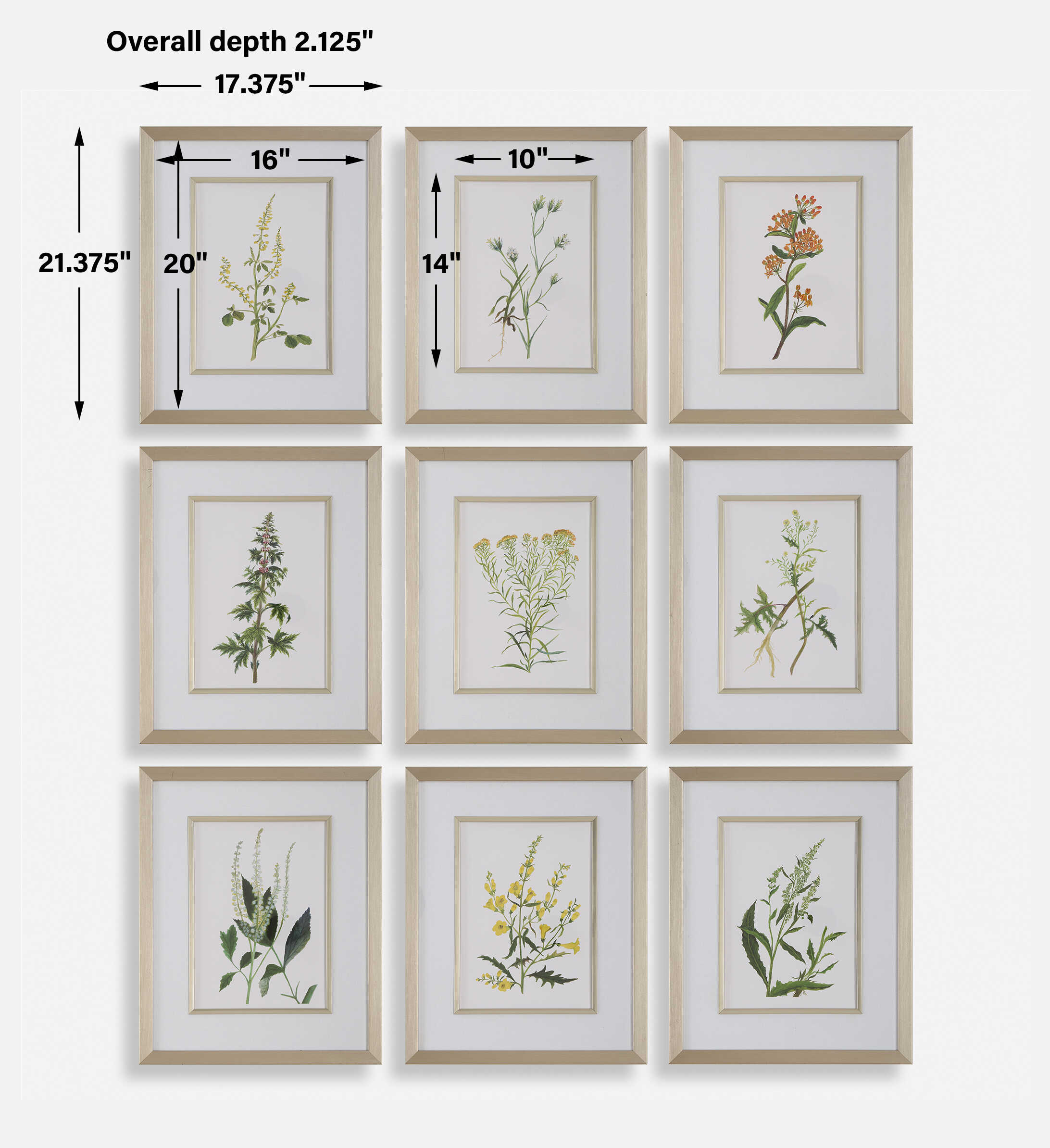 UTTERMOST社製 Botanical Flowers絵画・印刷9個組 UTT-32339