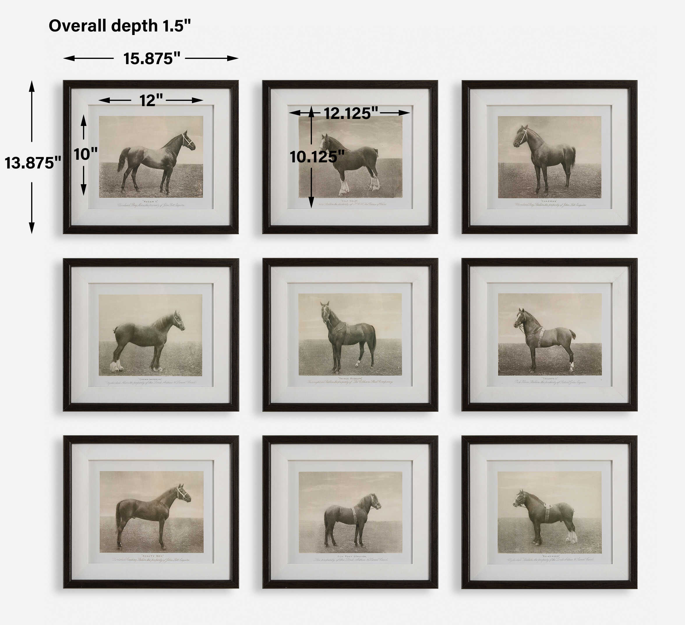 UTTERMOST社製 Equine Dynasty絵画・印刷9個組 UTT-32343