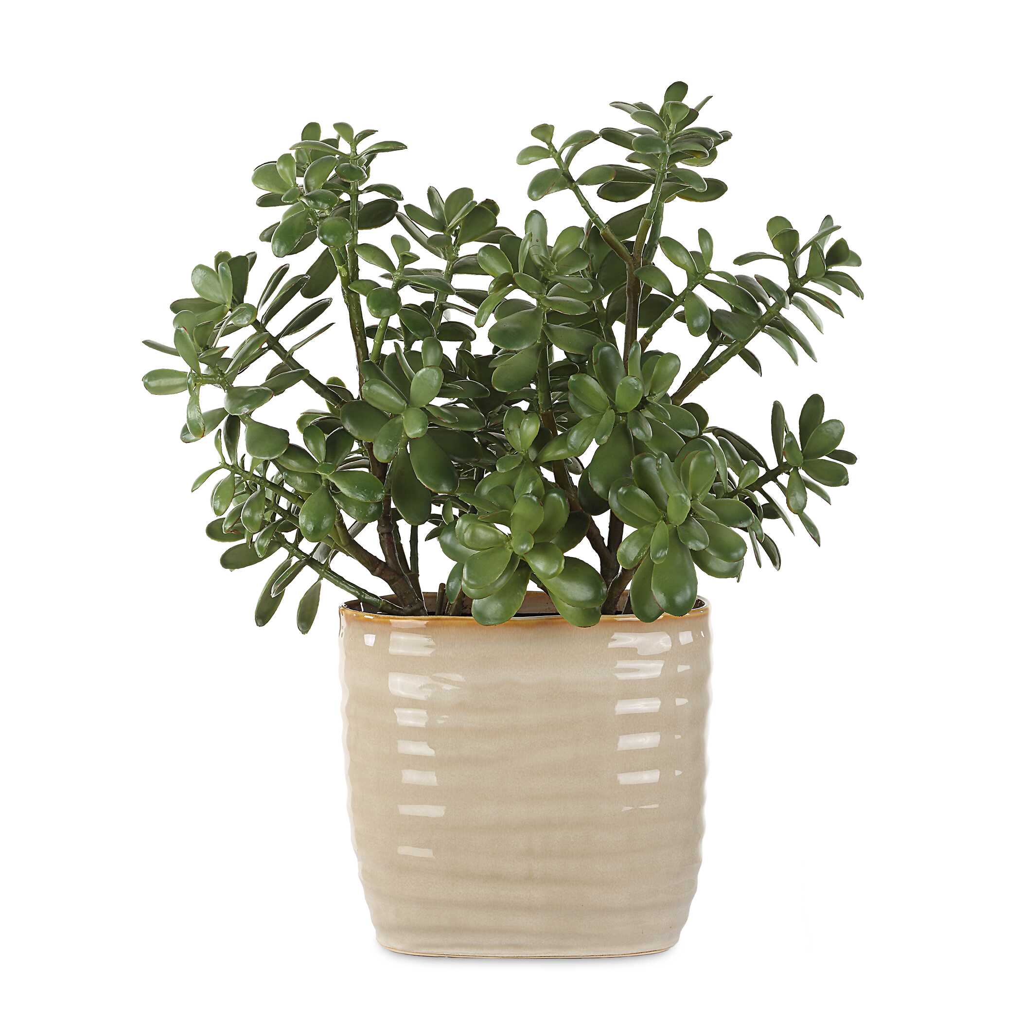 UTTERMOST社製 Crassula Jade彫像・置物 UTT-60226