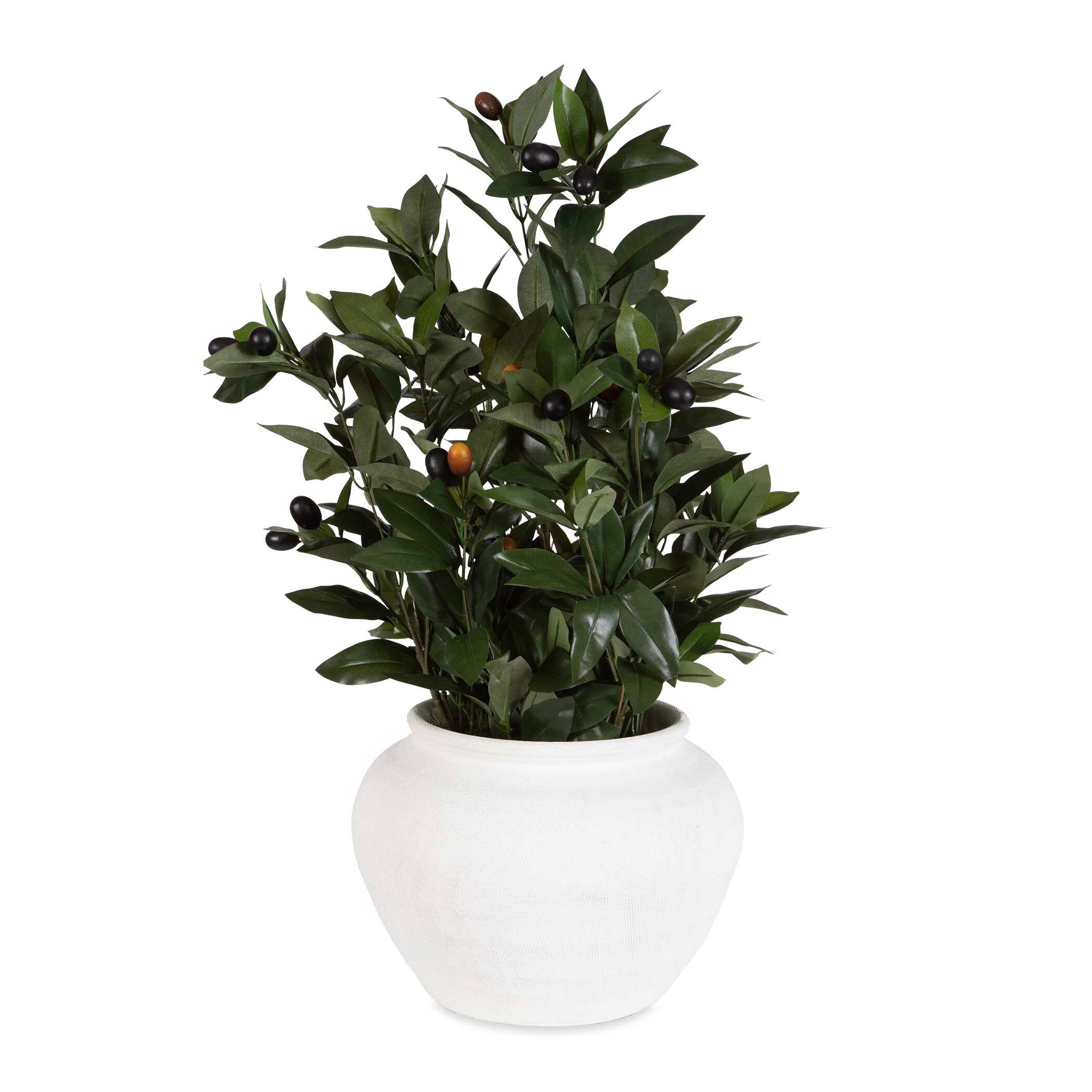 UTTERMOST社製 Elena Olive彫像・置物 UTT-60236