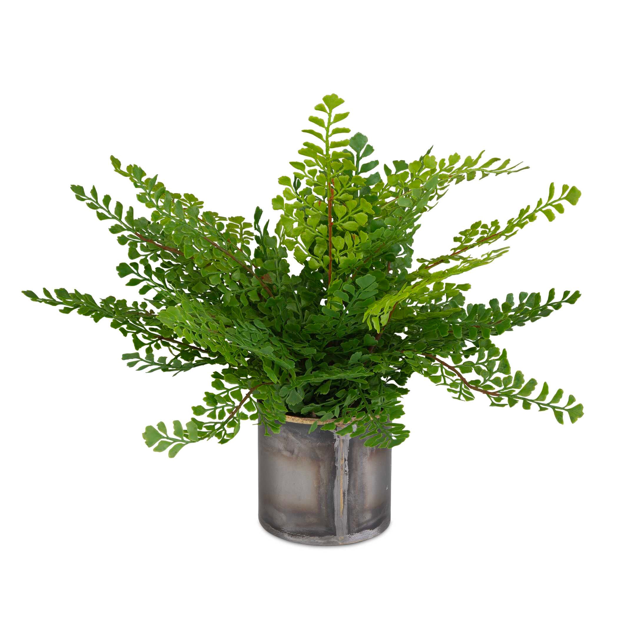 UTTERMOST社製 Maidenhair Fern彫像・置物 UTT-60237