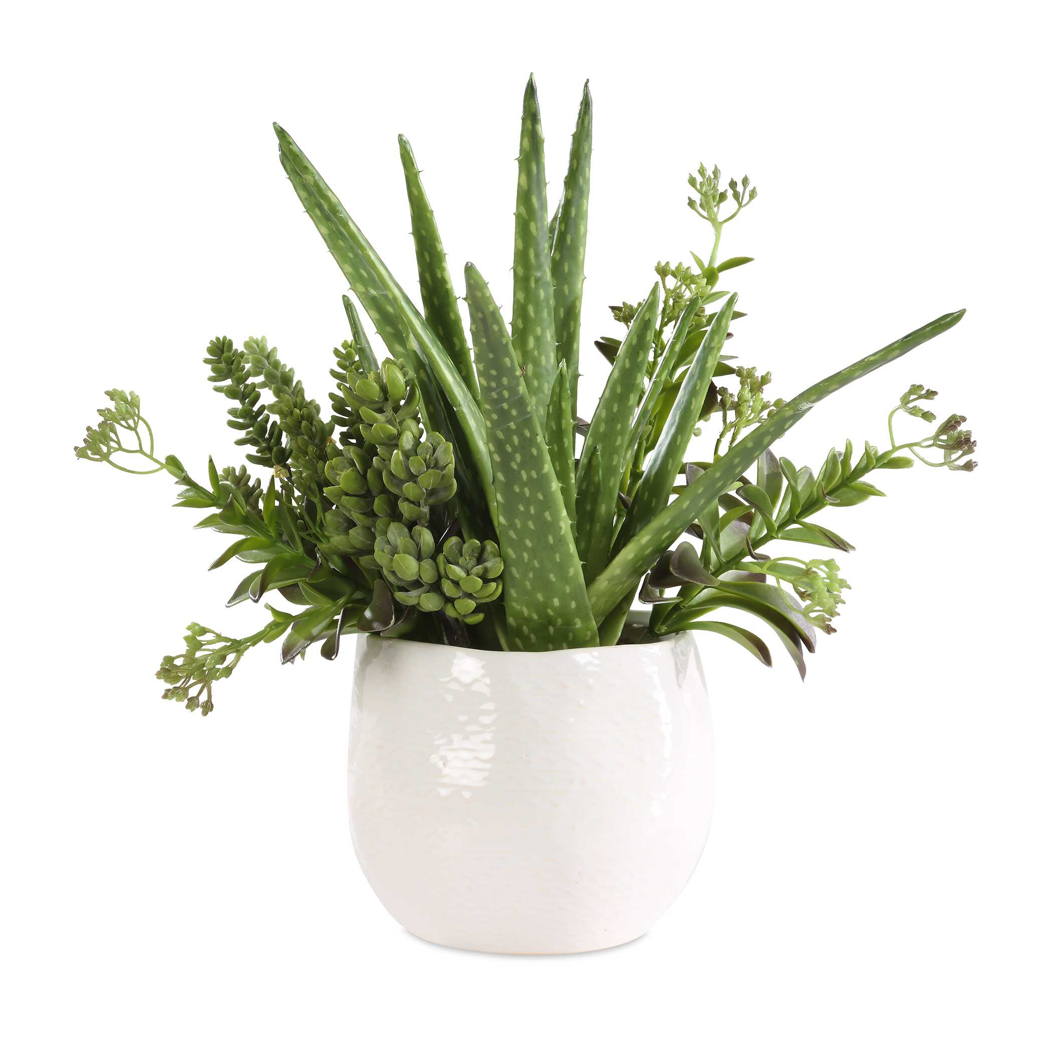 UTTERMOST社製 Sundown Succulent彫像・置物