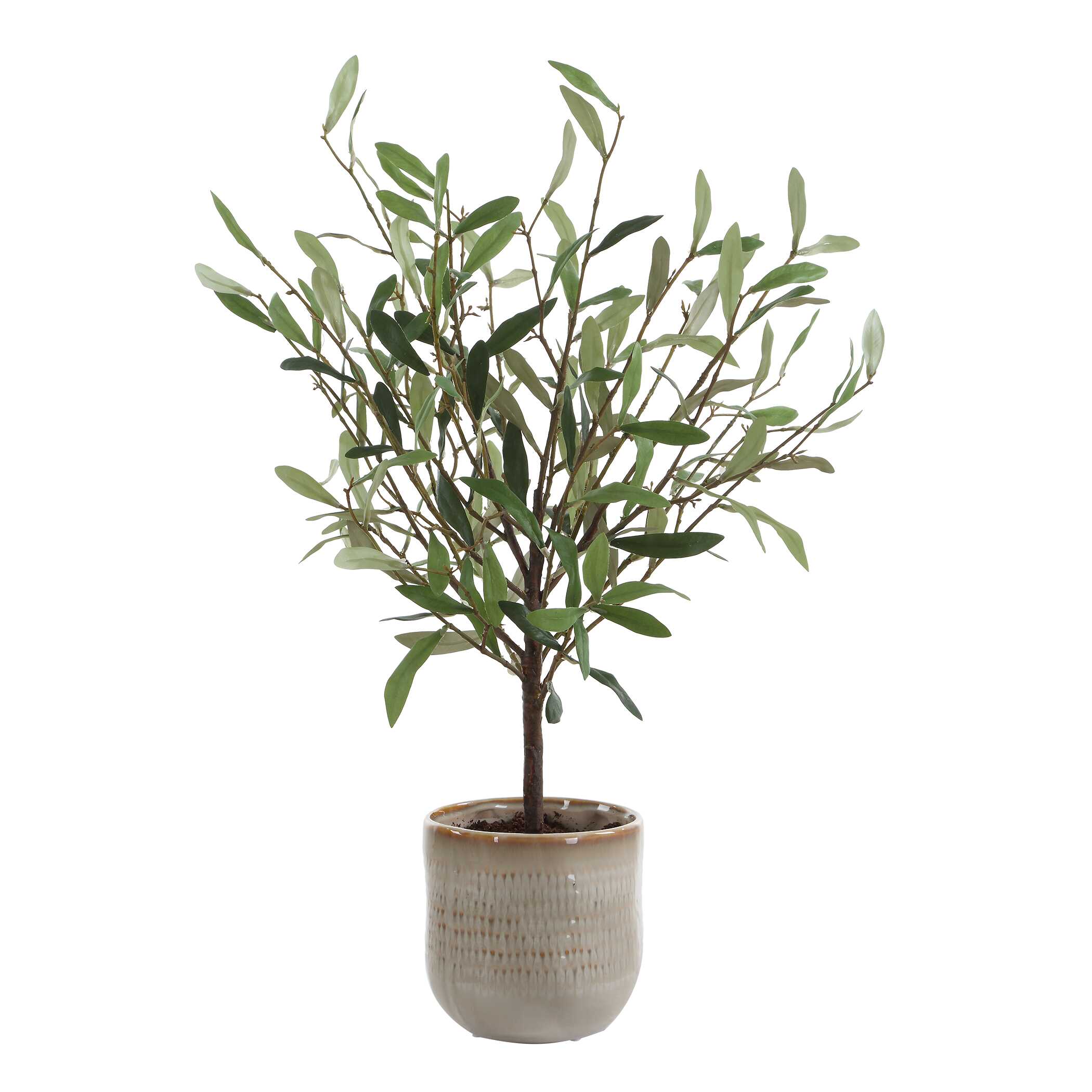 UTTERMOST社製 Solea Olive彫像・置物