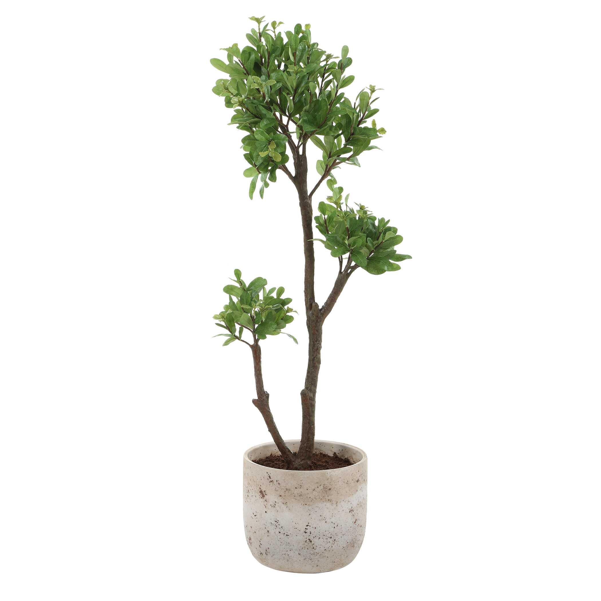 UTTERMOST社製 Arbor Strawberry彫像・置物