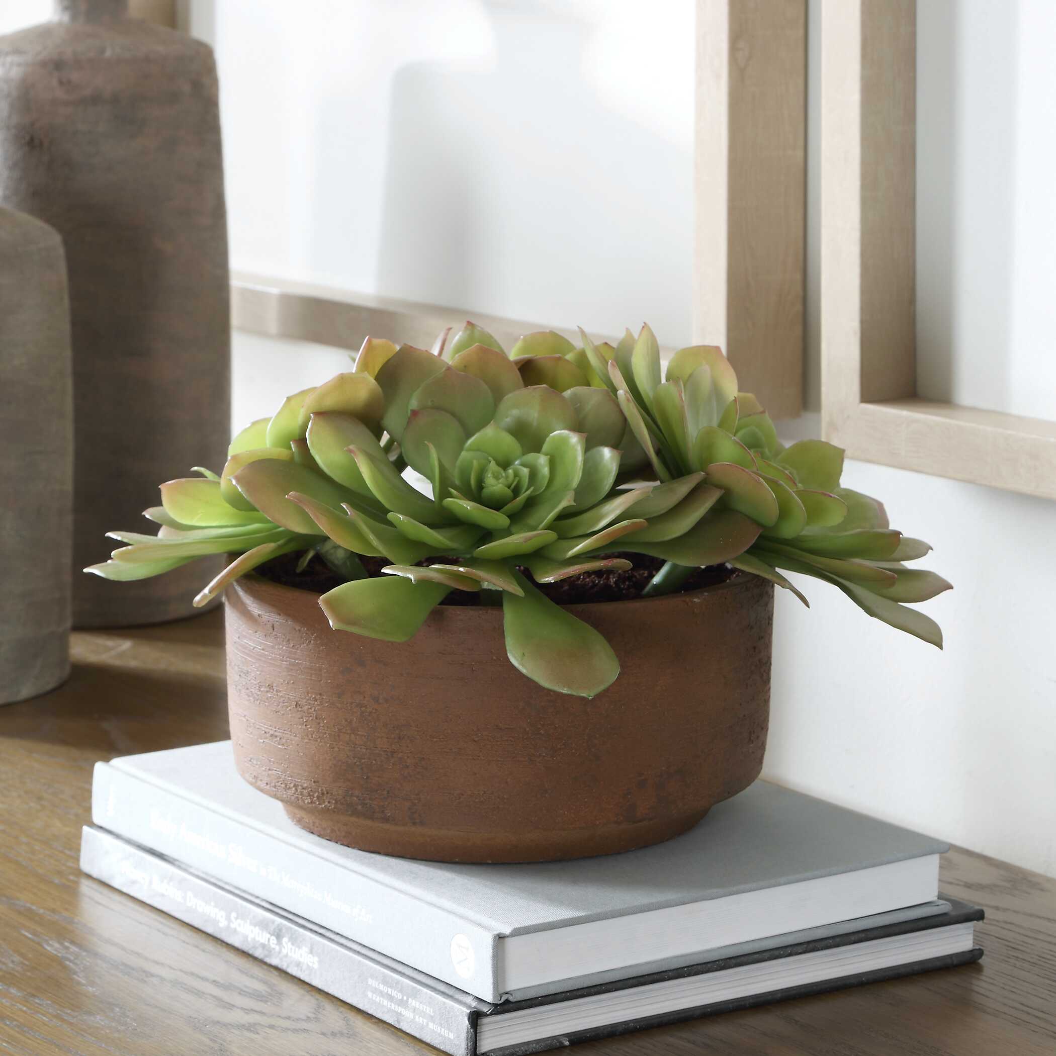 UTTERMOST社製 Sable Succulent彫像・置物 UTT-60267