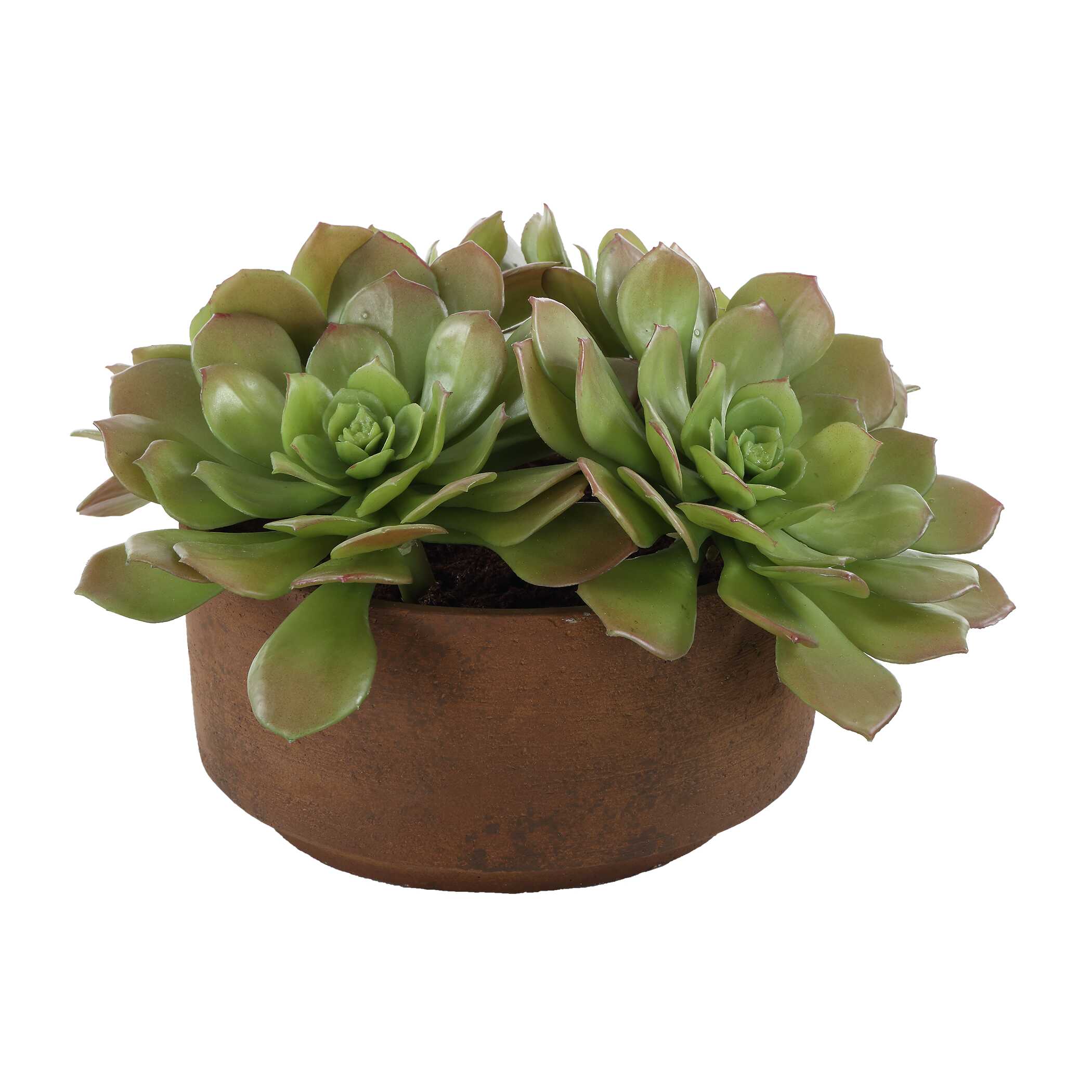 UTTERMOST社製 Sable Succulent彫像・置物